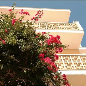  Хостел Casa De La Vida